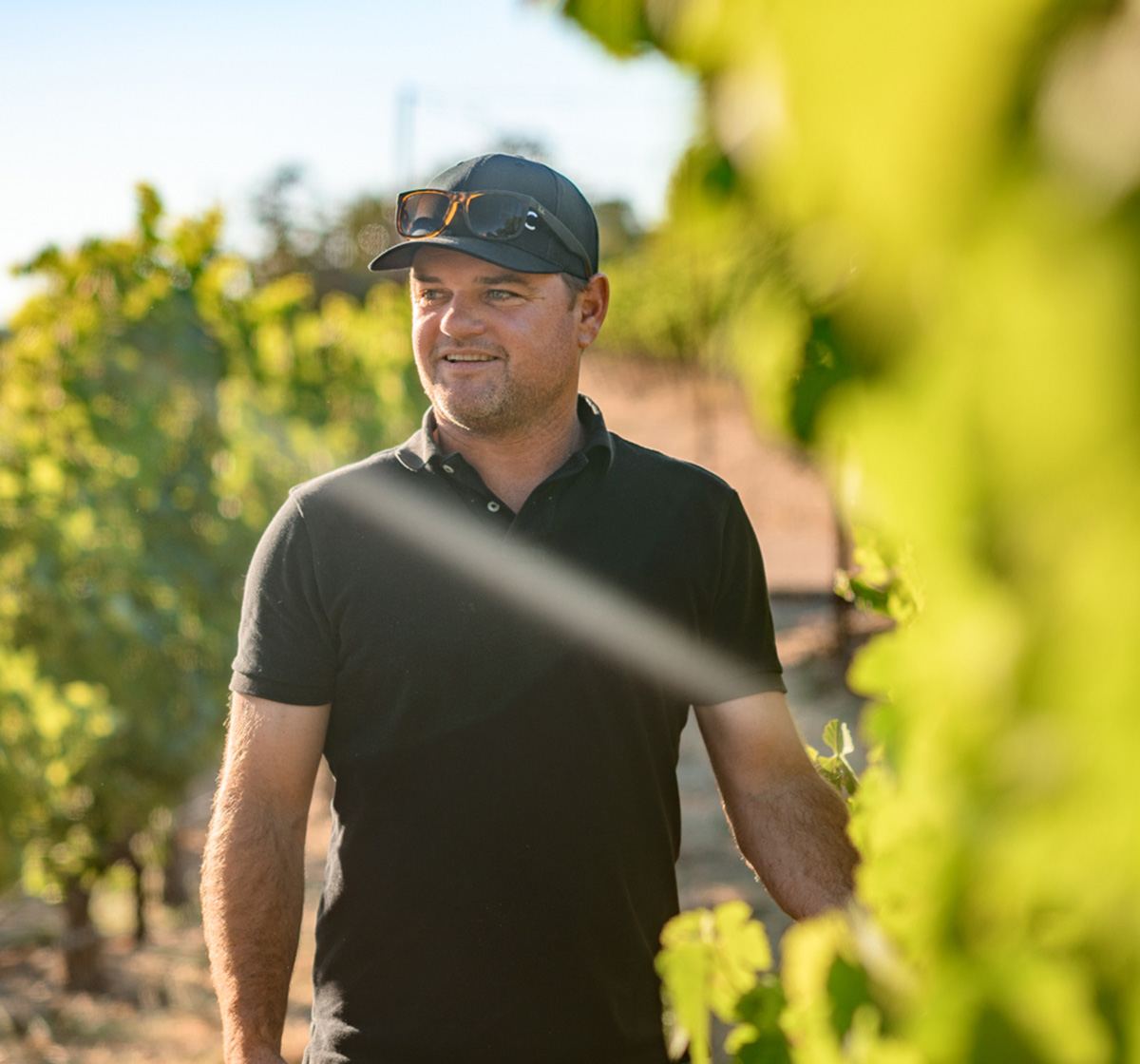 Matt Hardin standing in the vineyard
