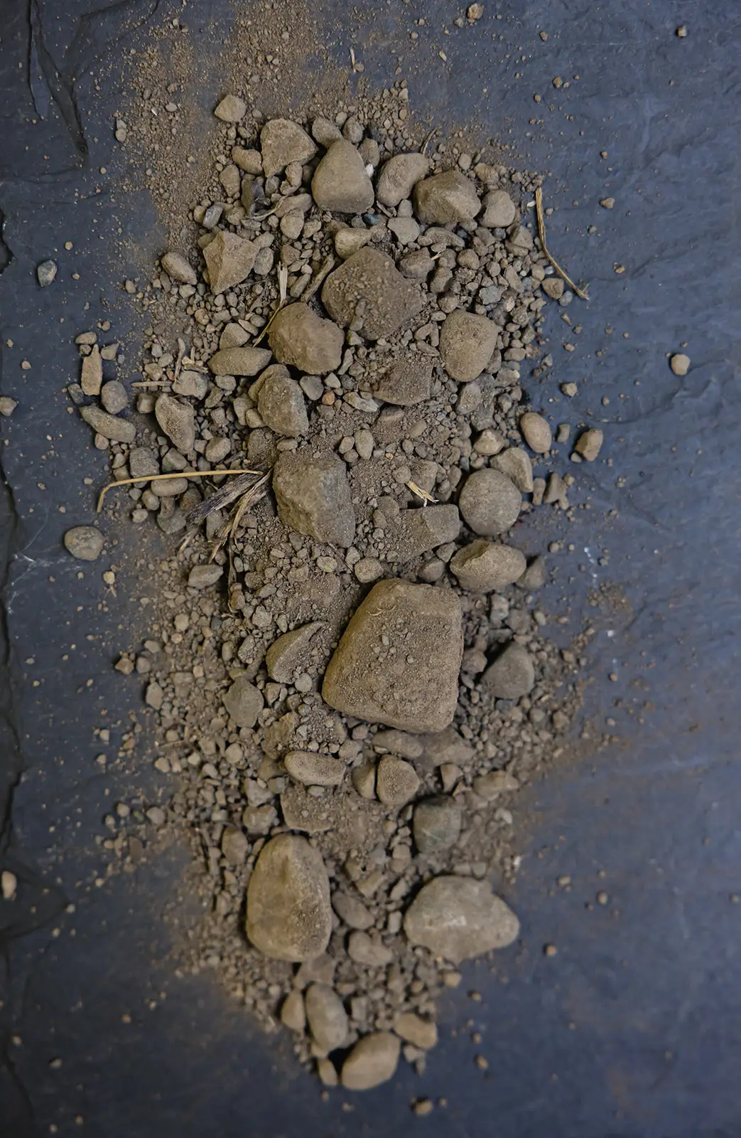 Garra Vineyard soil sample