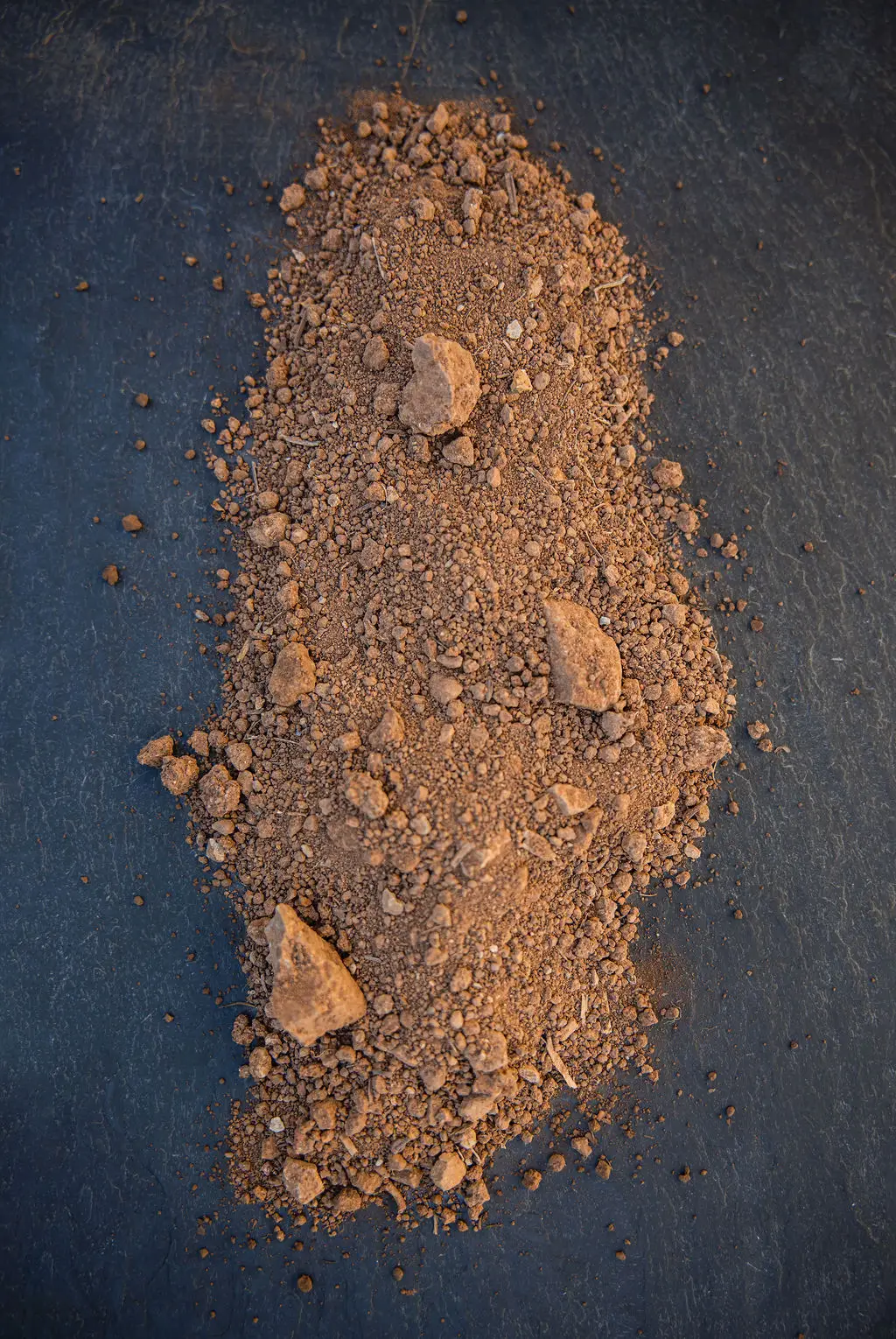 RDG Soil Sample
